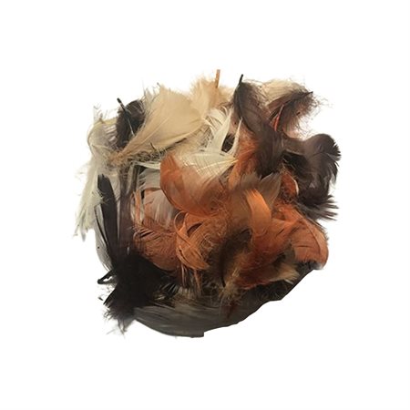 Assortiment de plumes d’automne