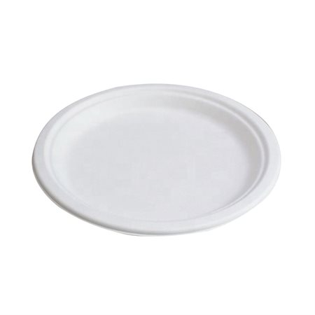 Compostable Plates Dinner
