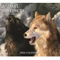 CALENDRIER ANIMAL INSTINCTS 2026