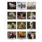 CALENDRIER ANIMAL INSTINCTS 2026