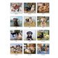 CALENDRIER MUST LOVE DOG'S 2026