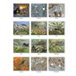 CALENDRIER WINGS OF NATURE 2026