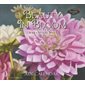 CALENDRIER BEAUTY IN BLOOMS 2026