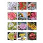 CALENDRIER BEAUTY IN BLOOMS 2026