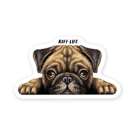 STICKERYOU - COLLANT ''RUFF LIFE PUG PEEKER''