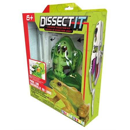 DISSECT IT - GRENOUILLE AU LABO