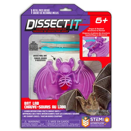 DISSECT IT - CHAUVE-SOURIS AU LABO