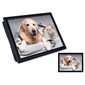 COUSSIN DE LECTURE- CHIEN GOLDEN ET CHAT